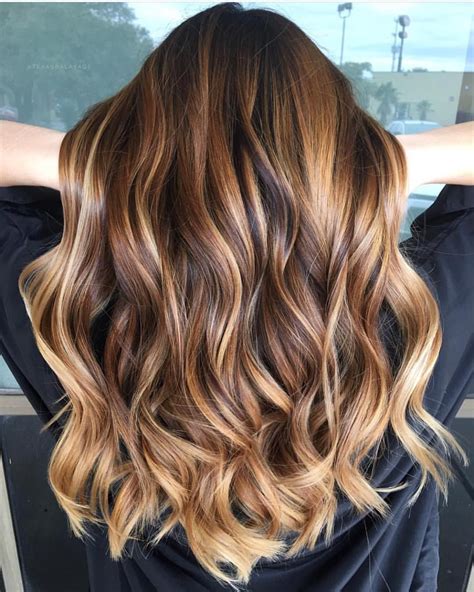 highlights honey|brunette hair with honey highlights.